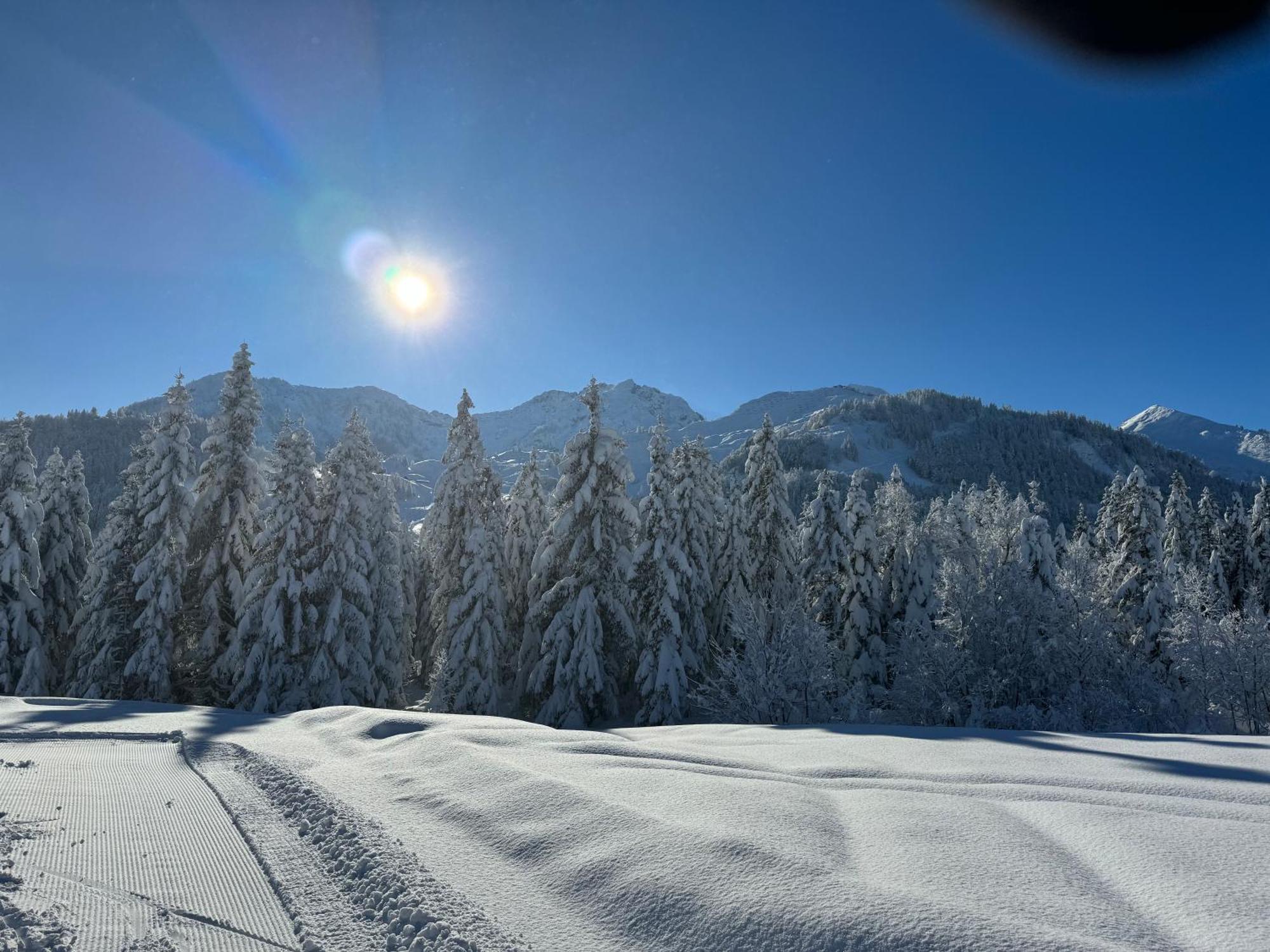 Appartement Erler Sankt Johann in Tirol Dış mekan fotoğraf